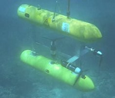 Sirius, an Autonomous Underwater Vehicle (AUV)