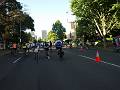 (Sydney), Sydney Spring Cycle 08