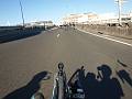 (Sydney), Sydney Spring Cycle 08