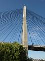 (Sydney), Sydney Spring Cycle 08. Glebe Island Bridge.