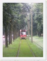 pict5170 * (Holland, Den Haag), Tram route 1 - due to our previous accident, the following tram caught up. (Scheveningseweg) * 1920 x 2560 * (1.07MB)
